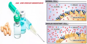 insulin-cell-Converted