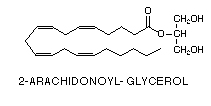 Arachidonoilglicerolo