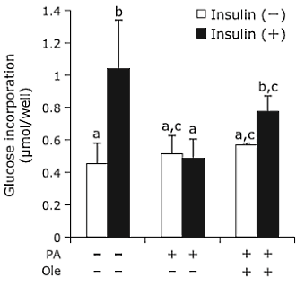 oleuropeininsulinsensitivitymuscle5