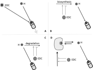 Mechanisms-of-action-of-Endocrine-Disruptor-Compounds-EDCs-A-Direct-interaction-of