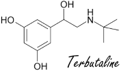 terbutaline.gif