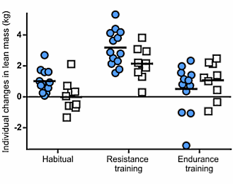 terbutalineanabolic2