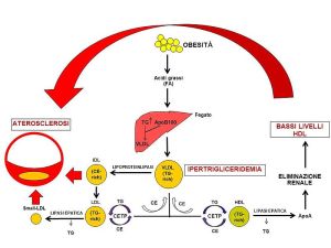 Sindrome_metabolica2