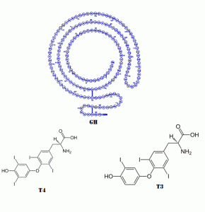 gh-molecule2