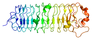 Protein_DCN_PDB_1xcd
