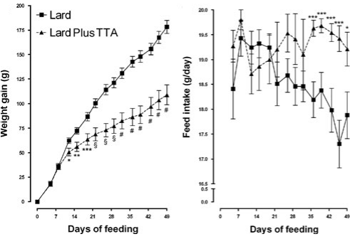 tetradecylthioaceticacidanimalstudy