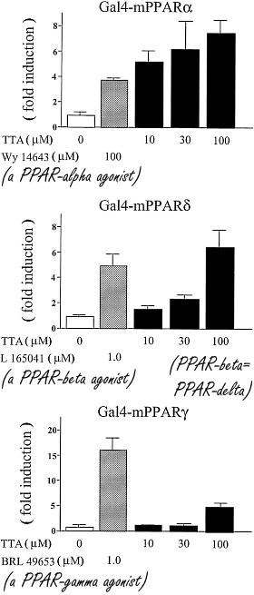 tetradecylthioaceticacidanimalstudy4
