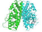PBB_Protein_ESR1_image