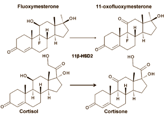 fluoxymesteronecortisol2