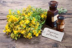 Hypericum perforatum and medicine bottles on wooden background