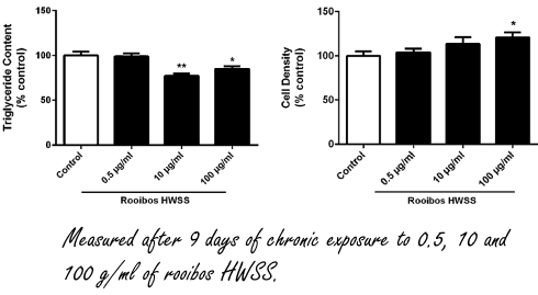 rooibosinhibtsfatcells2