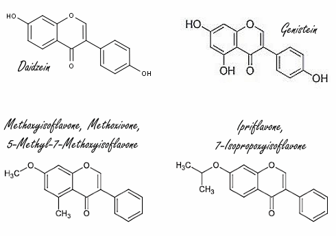 methoxivoneipriflavoneantiestrogenic0.gif