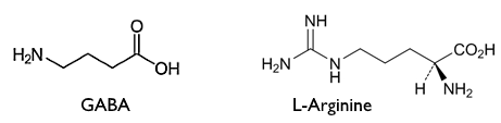 l-arginine-gaba