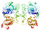 Protein_TGFA_PDB_1mox