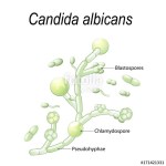 500_F_171421331_qEfd2ktSWidDIWHNXl6zmg3mxBBV3HBj