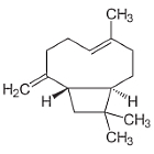 trans-beta-caryophyllene.jpg