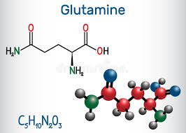 glutammina