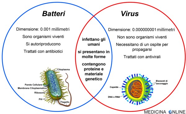 medicina-online-virus-batteri-microrganismi-vaccini-pericolo-patogeni