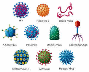 virus