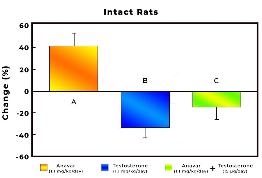 Anavar-Testosterone-and-Anavar-Testosterone-Effect-On-Immune-Function