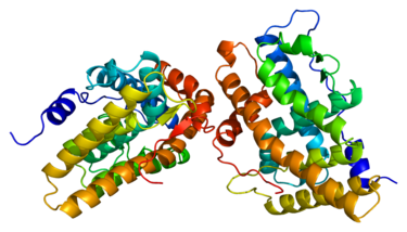aromatase