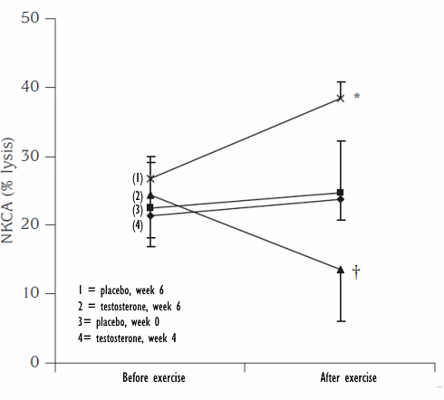 testosterone-exercise-natural-killer-cells