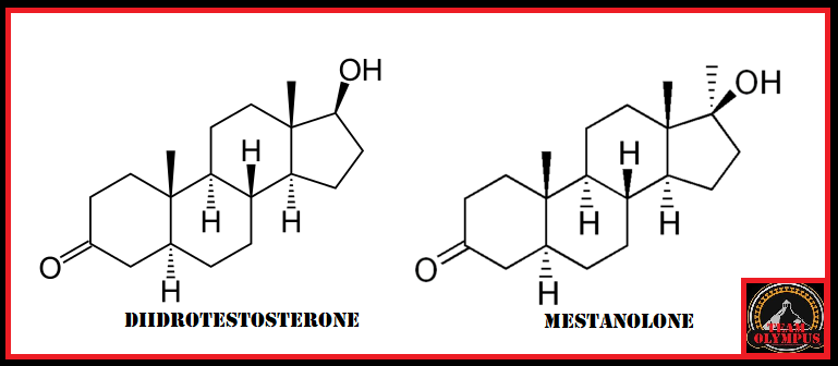 dhtmestanolone