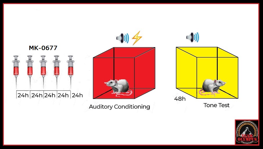 ChronicMK_Injection_FigureNN_v4
