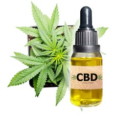 cbd-oil-plain-cannabis-
