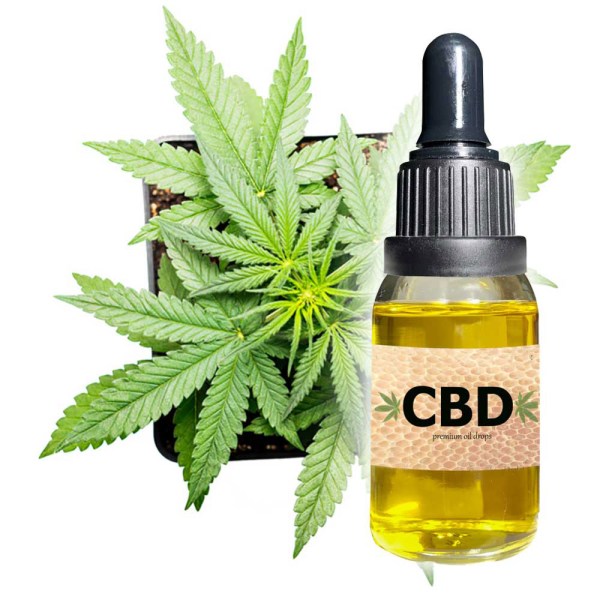 cbd-oil-plain-cannabis-