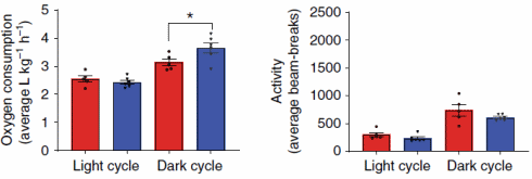 bam15-oxygen-consumption-2