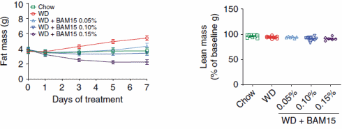 bam15-oxygen-consumption-3