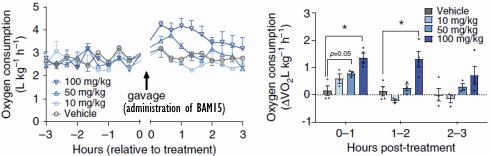 bam15-oxygen-consumption