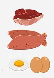 Diet_101_Vertical_Diet_1024x1024