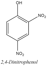 dnp1