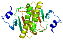 Protein_HINT1_PDB_1av5