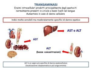 (basse+concentrazioni)