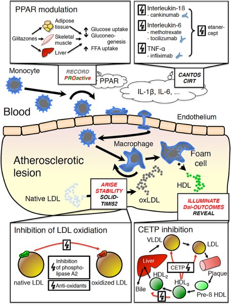 Microsoft Word - 2014-09-23_Gleissner-text.docx
