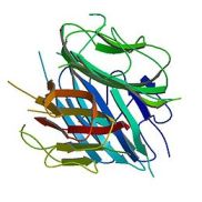 PBB_Protein_ADIPOQ_image